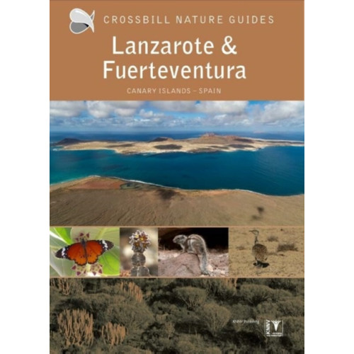 KNNV Uitgeverij Lanzarote and Fuerteventura (häftad, eng)