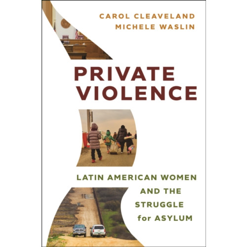 New York University Press Private Violence (häftad, eng)