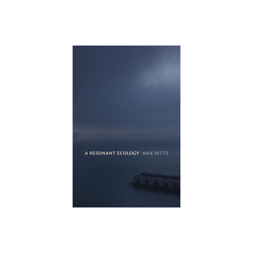 Produktbild för A Resonant Ecology (häftad, eng)