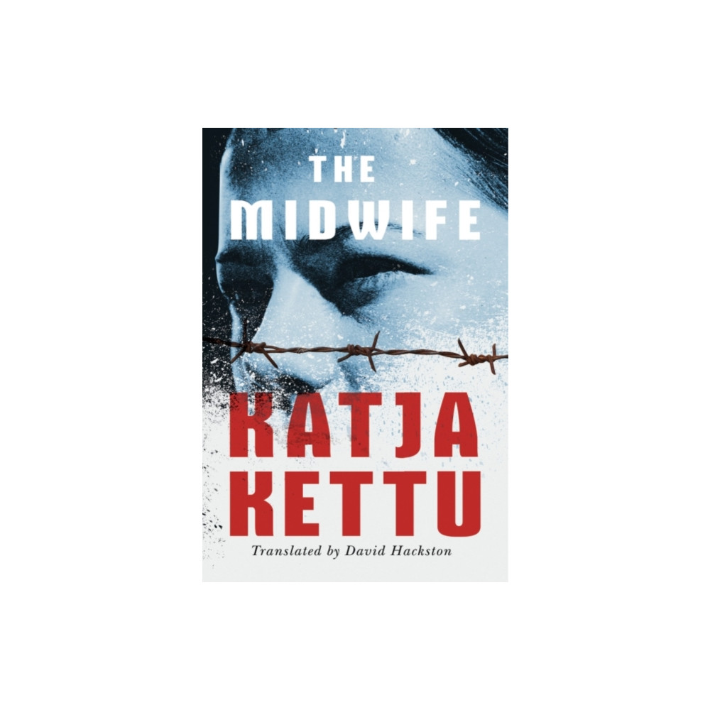 Produktbild för The Midwife (häftad, eng)