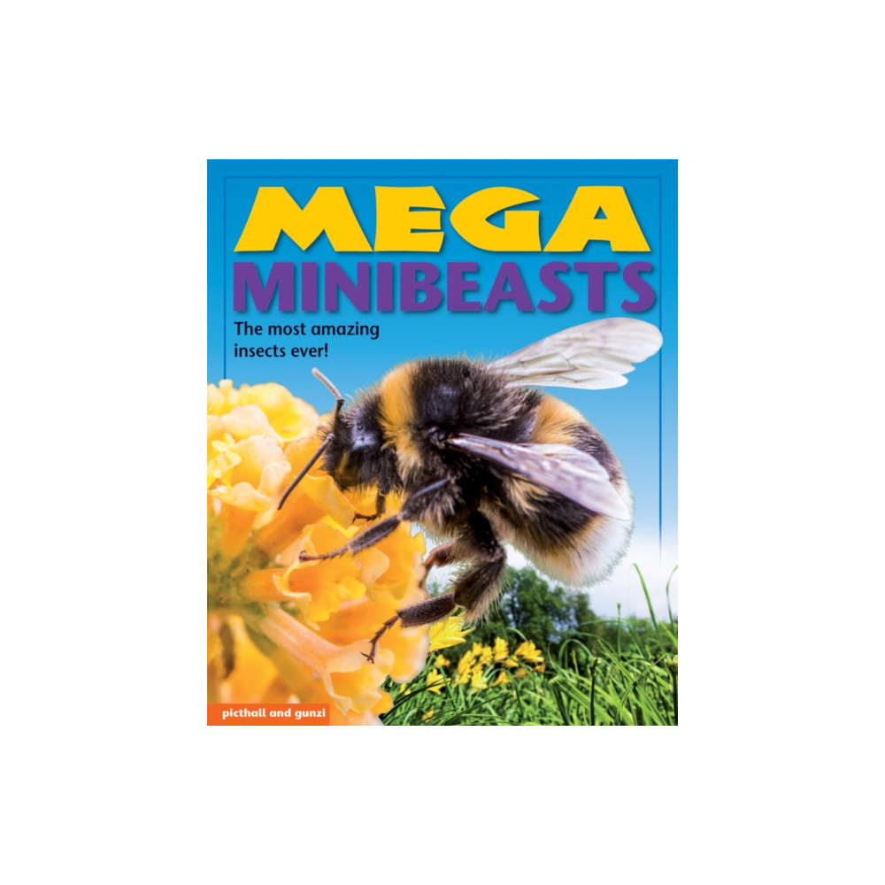 Produktbild för Mega Minibeasts (häftad, eng)