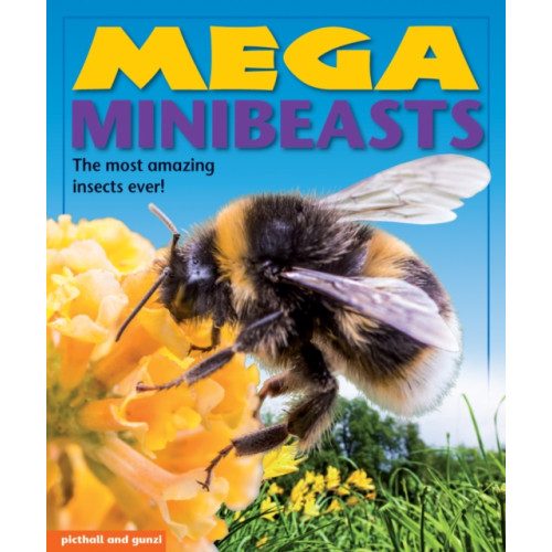 Award Publications Ltd Mega Minibeasts (häftad, eng)