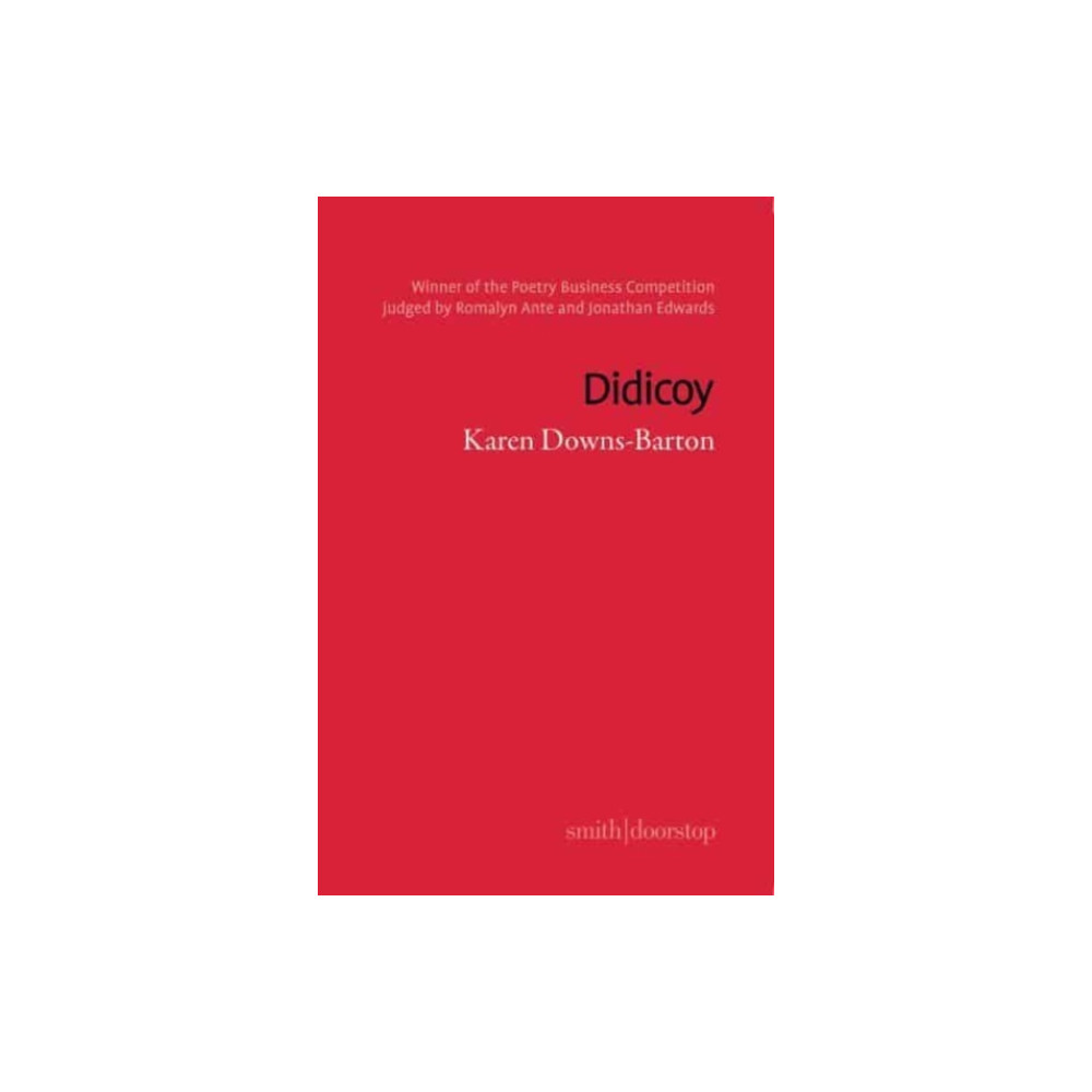 Produktbild för Didicoy (häftad, eng)