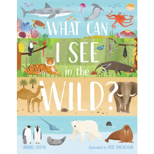 Hungry Tomato Ltd What Can I See in the Wild (inbunden, eng)