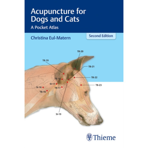 Thieme Publishing Group Acupuncture for Dogs and Cats (häftad, eng)