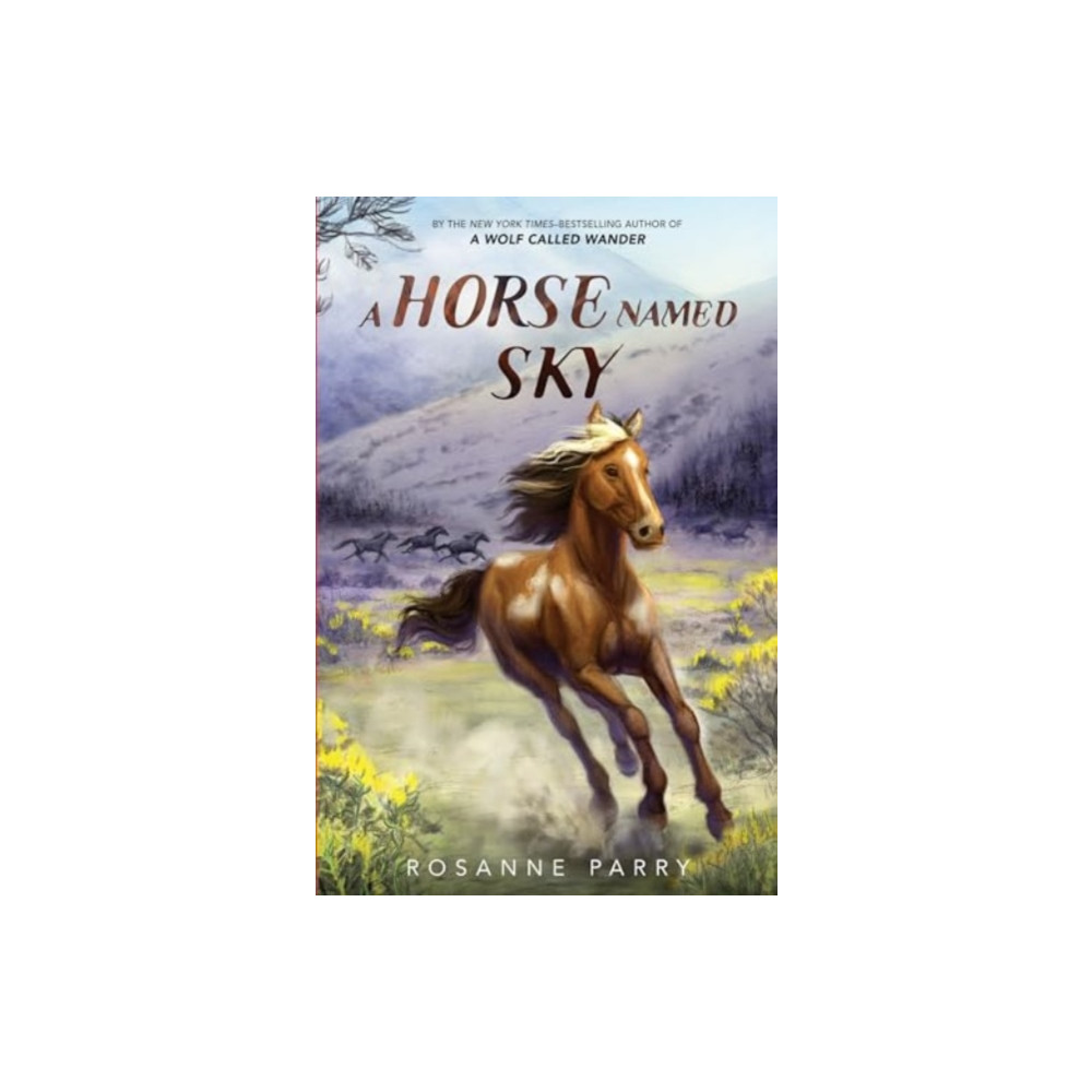 Produktbild för A Horse Named Sky (häftad, eng)