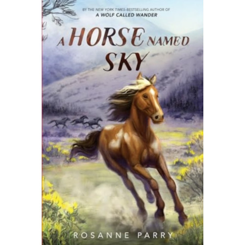 Harpercollins publishers inc A Horse Named Sky (häftad, eng)