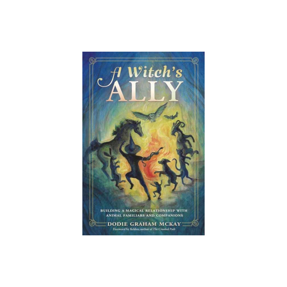 Produktbild för A Witch's Ally (häftad, eng)