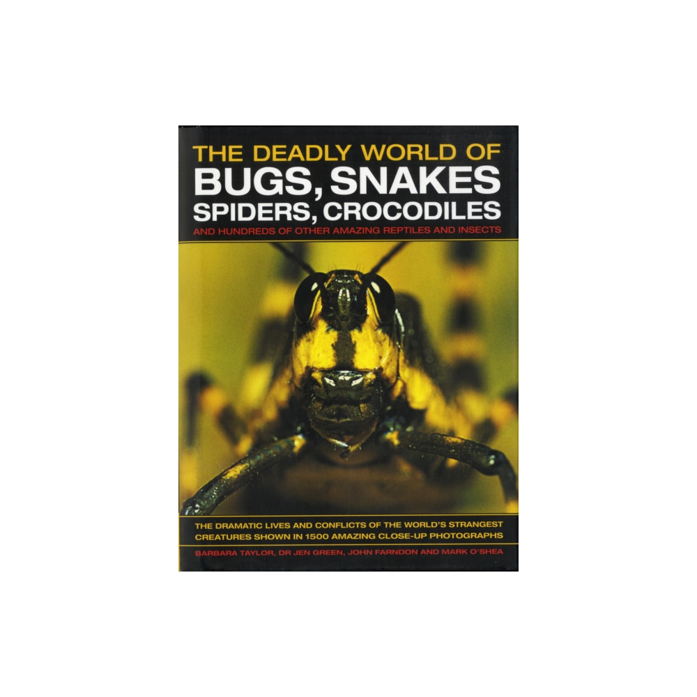 Produktbild för The Deadly World of Bugs, Snakes, Spiders, Crocodiles and Hundreds of Other Amazing Reptiles and Insects (inbunden, eng)