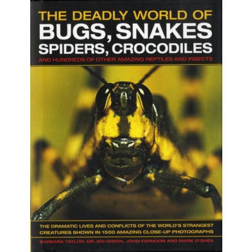 Anness publishing The Deadly World of Bugs, Snakes, Spiders, Crocodiles and Hundreds of Other Amazing Reptiles and Insects (inbunden, eng)