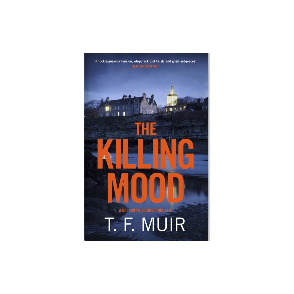Produktbild för The Killing Mood (häftad, eng)