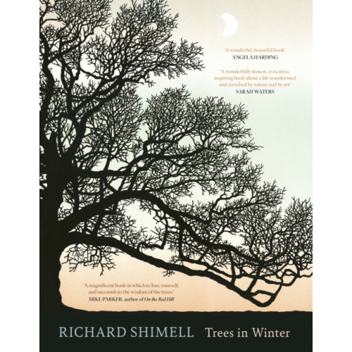 Little, Brown Book Group Trees in Winter (inbunden, eng)