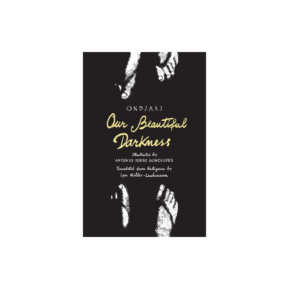 Produktbild för Our Beautiful Darkness (inbunden, eng)