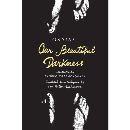 Enchanted Lion Books Our Beautiful Darkness (inbunden, eng)