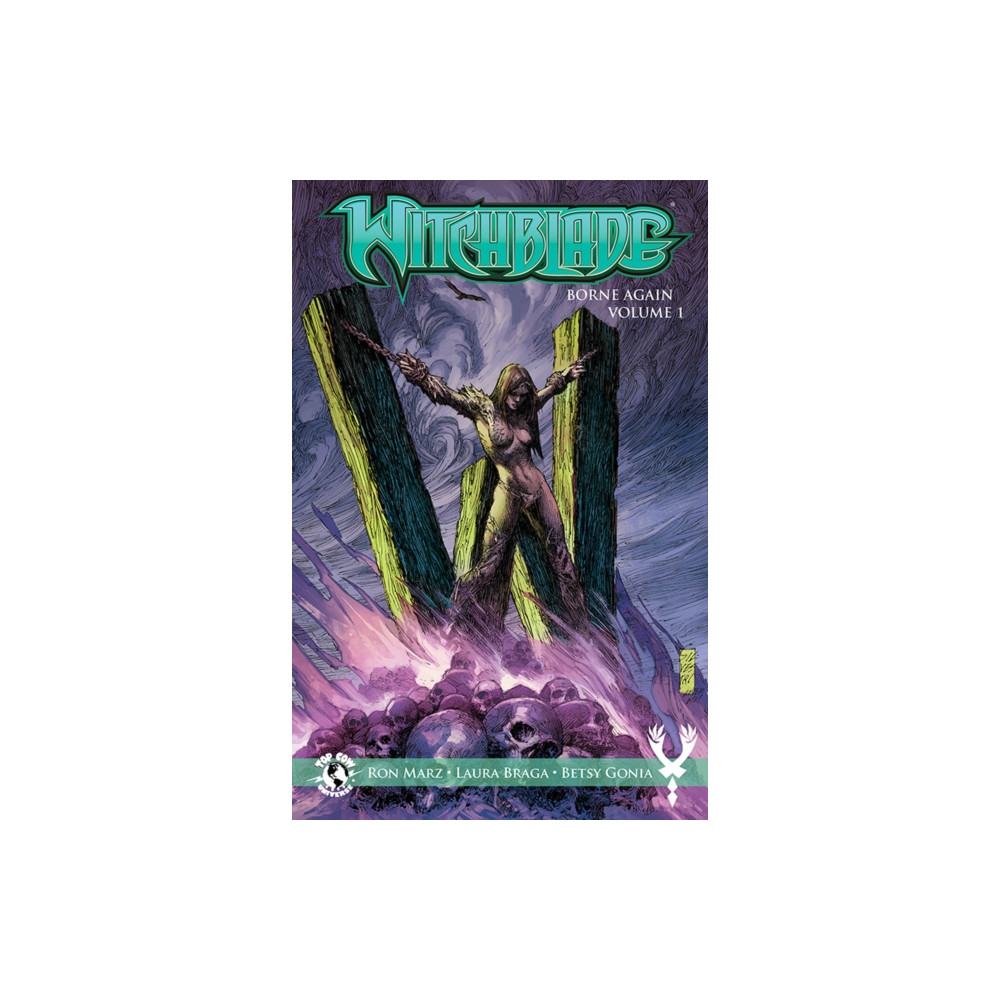 Produktbild för Witchblade: Borne Again Volume 1 (häftad, eng)