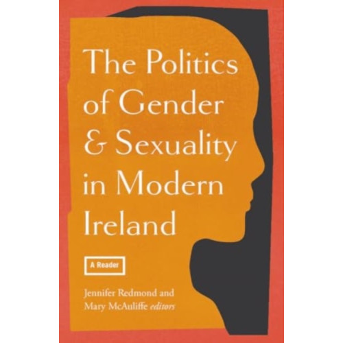 Four Courts Press Ltd The politics of gender and sexuality in modern Ireland (häftad, eng)