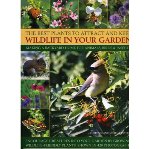 Anness publishing Best Plants to Attract and Keep Wildlife in the Garden (häftad, eng)