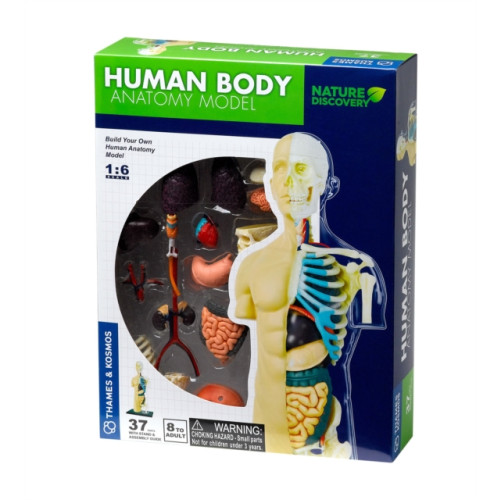 THAMES & KOSMOS Human Body (häftad, eng)