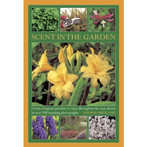 Anness publishing Scent in the Garden (inbunden, eng)