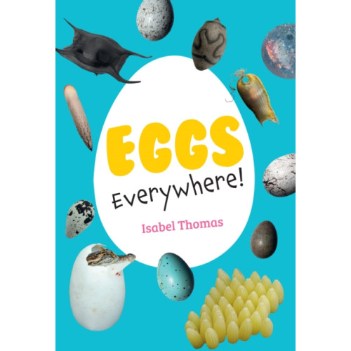 HarperCollins Publishers Eggs Everywhere! (häftad, eng)