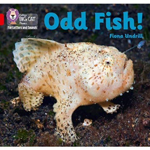HarperCollins Publishers Odd Fish! (häftad, eng)