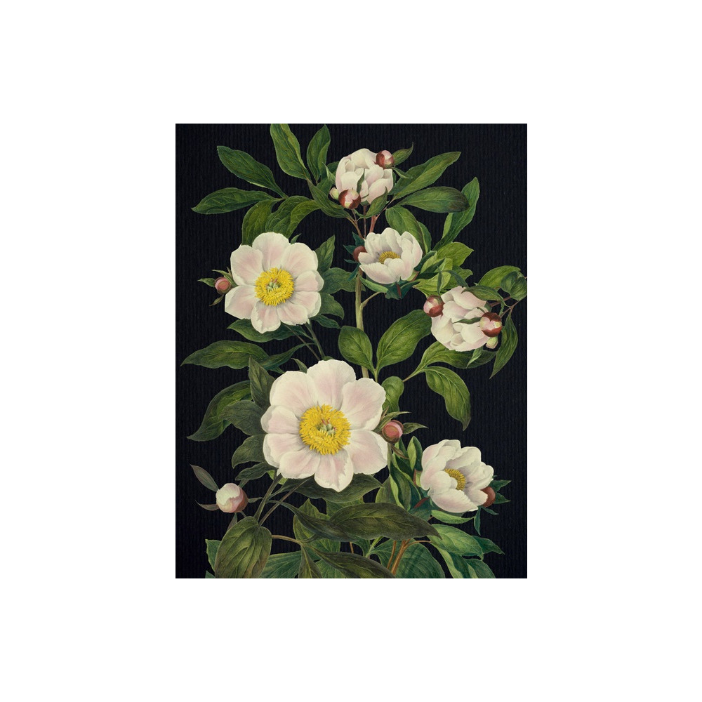 Produktbild för Blooming Flowers Journal (häftad, eng)