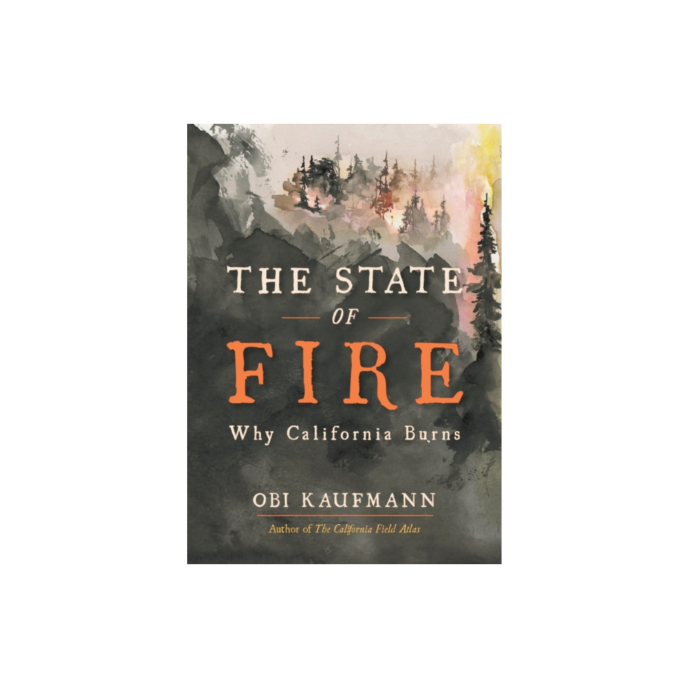 Produktbild för The State of Fire (inbunden, eng)