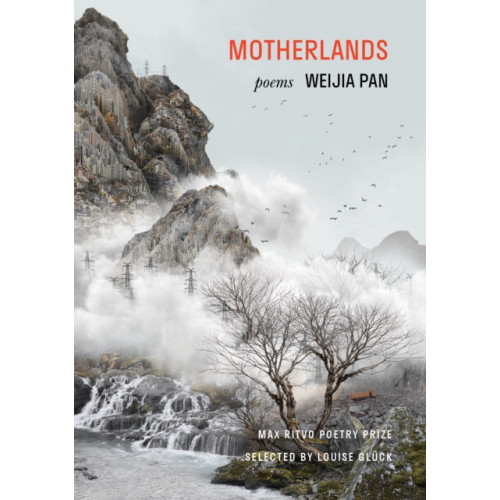 Milkweed Editions Motherlands (inbunden, eng)