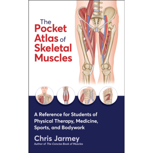 Human Kinetics Publishers The Pocket Atlas of Skeletal Muscles (häftad, eng)