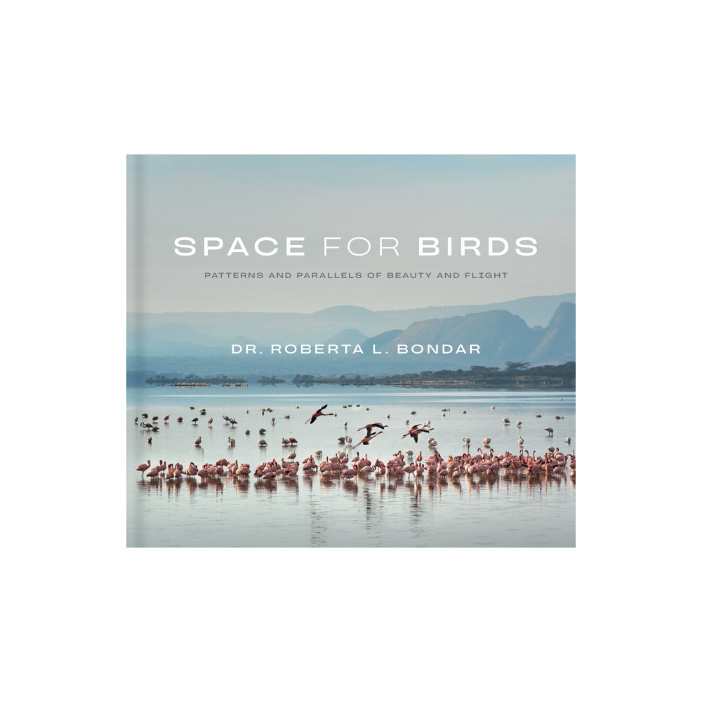 Produktbild för Space for Birds (inbunden, eng)