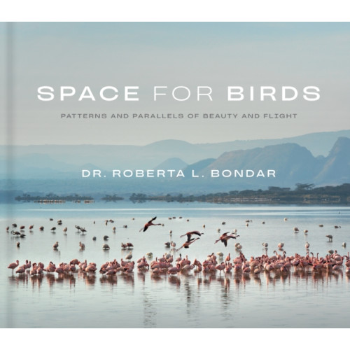 Figure 1 Publishing Space for Birds (inbunden, eng)