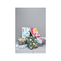 Produktbild för Presentpapper Rainforest 57cmx154m