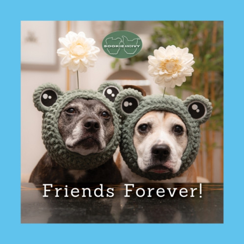 Fox Chapel Publishing Sookie and Ivy Friends Forever! (inbunden, eng)