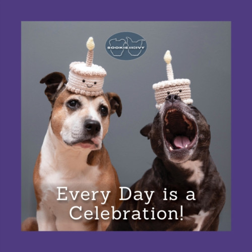 Fox Chapel Publishing Sookie and Ivy Every Day Is a Celebration (inbunden, eng)