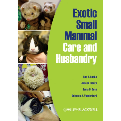 John Wiley And Sons Ltd Exotic Small Mammal Care and Husbandry (häftad, eng)