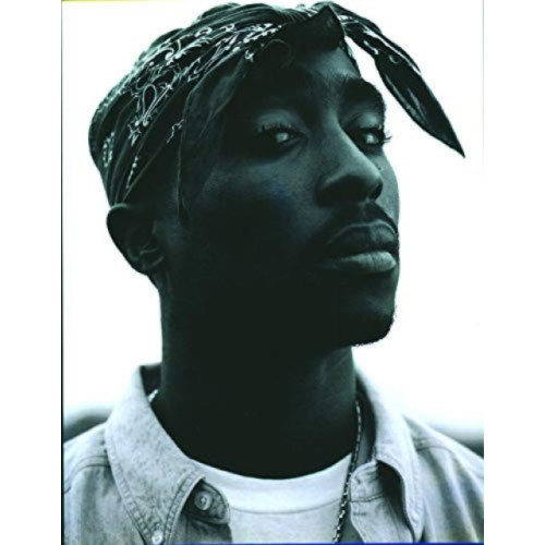 Plexus Publishing Ltd Tupac Shakur (häftad, eng)