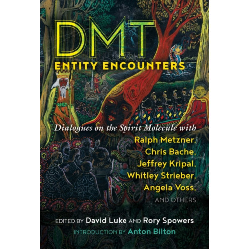 Inner Traditions Bear and Company DMT Entity Encounters (häftad, eng)