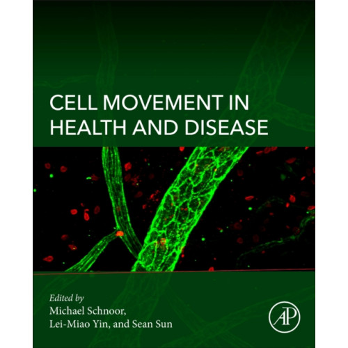 Elsevier Science & Technology Cell Movement in Health and Disease (häftad, eng)