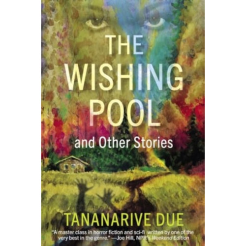 Akashic Books,U.S. The Wishing Pool and Other Stories (häftad, eng)