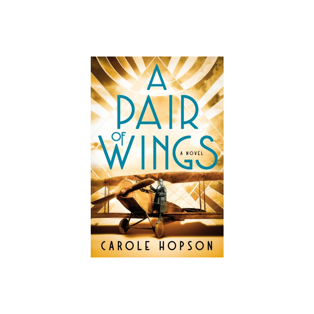 Produktbild för A Pair of Wings (inbunden, eng)