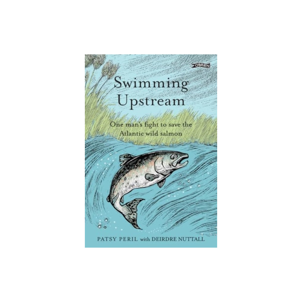 Produktbild för Swimming Upstream (inbunden, eng)