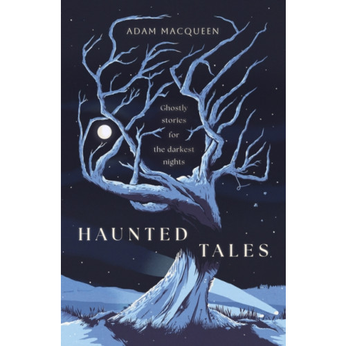 Swift Press Haunted Tales (inbunden, eng)