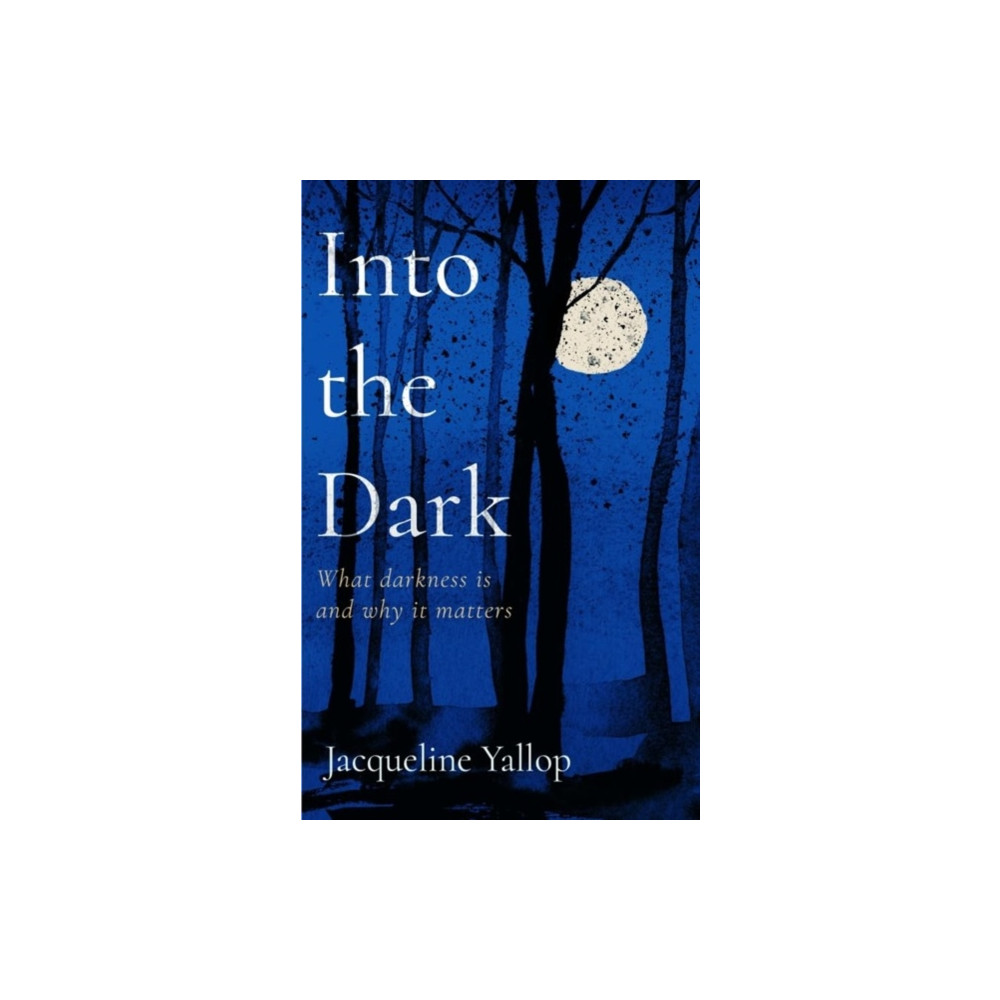 Produktbild för Into the Dark (häftad, eng)