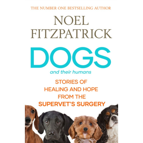 Simon & Schuster Ltd Dogs and Their Humans (inbunden, eng)