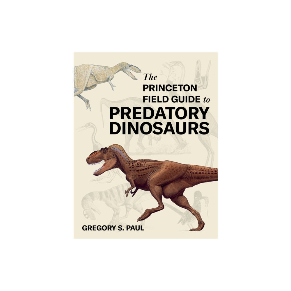 Produktbild för The Princeton Field Guide to Predatory Dinosaurs (inbunden, eng)