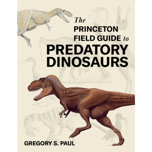 Princeton University Press The Princeton Field Guide to Predatory Dinosaurs (inbunden, eng)