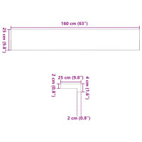 Produktbild för Fönsterbänkar 2 st obehandlad 160x25x2 cm massiv ek