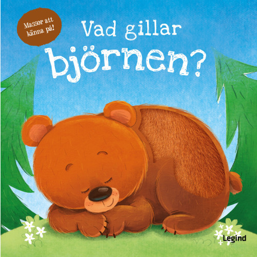 Daniel Mills Vad gillar björnen (läs och känn) (bok, board book)