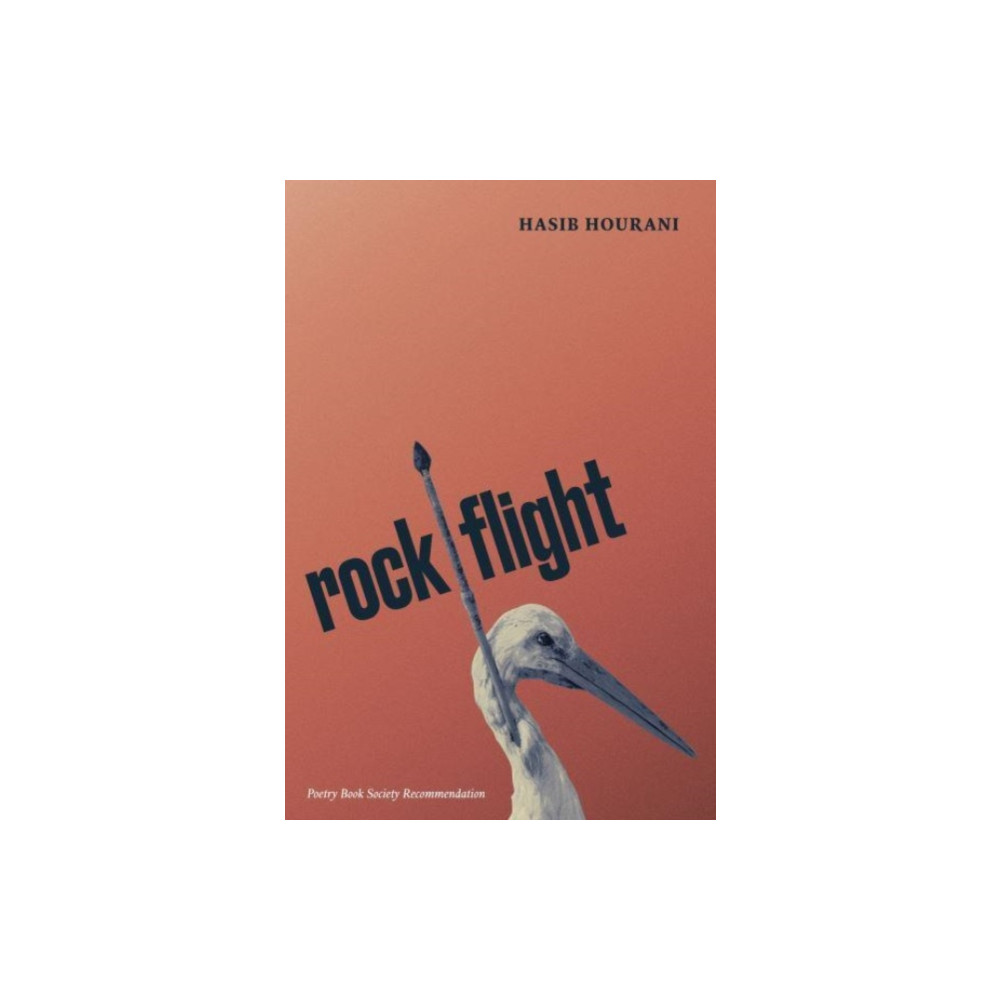 Produktbild för rock flight (häftad, eng)