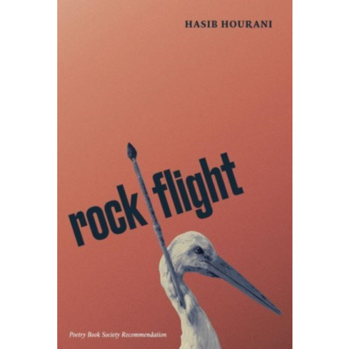 Prototype Publishing Ltd. rock flight (häftad, eng)